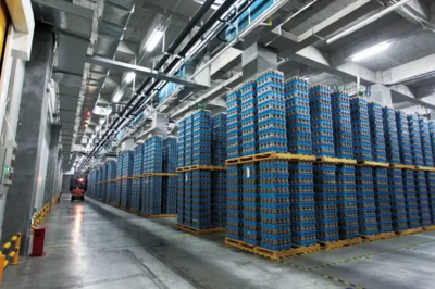 雪榕生物2021年第一季度业绩分析 净利润同比下滑40.3%的挑战与生物技术路径的机遇