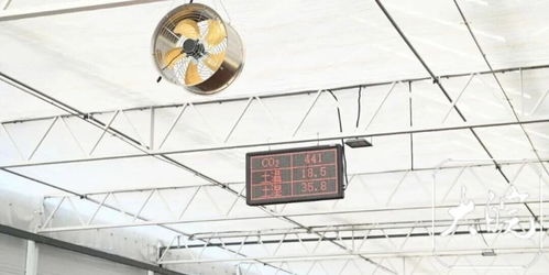 科技赋能健康餐桌 安徽5G智慧农业高硒植物工厂的生物技术创新