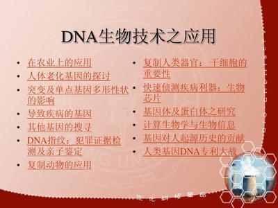 DNA生物技术 解锁生命密码，重塑未来边界